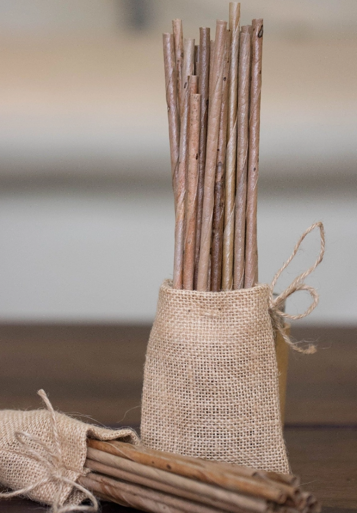 Coconut Leaf Straws